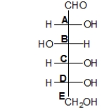 <strong>Which carbon determines whether the sugar below is D- or L-? </strong> A) carbon A B) carbon B C) carbon C D) carbon D E) carbon E