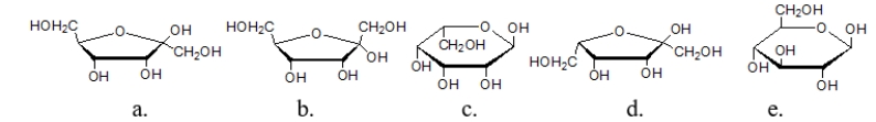 <strong>Which structures is an α-anomer? </strong> A) structure a B) structure b C) structure c D) structure d E) structure e