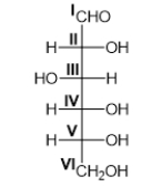 Which carbon(s)in the Fischer projection below is/are a chirality center?