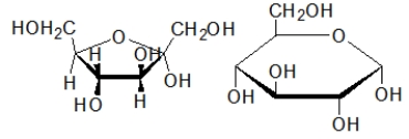 The ring structure shown below left is called a ________, and the ring structure to the below right is called a _________.