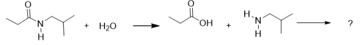 <strong>An amide is hydrolyzed as is shown in the following reaction.After it is hydrolyzed, it undergoes another reaction.Which choice represents the products of this further reaction? </strong> A) There is no further reaction. B) C) D) E)