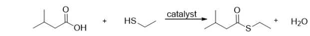 <strong>What is the name of the functional group produced by the following reaction? </strong> A) a thioester B) a sulfur C) a sulfhydride D) a thiol E) a hydrogen sulfide
