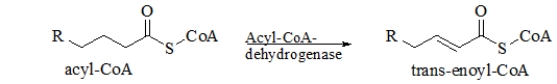 <strong>The following reaction occurs in the body.Which reactant is most probably required for this reaction to occur? </strong> A) O<sub>2</sub> B) H<sub>2</sub> C) FAD D) NAD E) FADH<sub>2</sub>