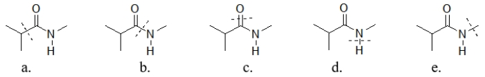 <strong>Which amide has a line through the bond that is broken during hydrolysis? </strong> A) amide a B) amide b C) amide c D) amide d E) amide e