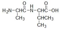 <strong>Which biomolecule contains three ester functional groups?</strong> A) B) C) D) E)