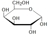 <strong>Which biomolecule contains three ester functional groups?</strong> A) B) C) D) E)