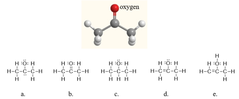 <strong>Below is a ball-and-stick model of acetone.Which of the following Lewis structures is acetone? </strong> A) structure a B) structure b C) structure c D) structure d E) structure e