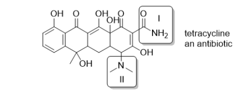 <strong>Tetracycline is a common antibiotic.Select the choice in which the two boxed functional groups are correctly identified. </strong> A) I: amine; II: amine B) I: amide; II: amide C) I: amine; II: amide D) I: amide; II: amine E) These functional groups are neither amines nor amides.