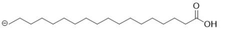 <strong>At physiological pH, what is the structure of stearic acid, a fatty acid? </strong> A) B) C) D) E)