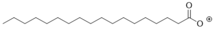 <strong>At physiological pH, what is the structure of stearic acid, a fatty acid? </strong> A) B) C) D) E)