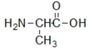 <strong>Which molecule contains an amide?</strong> A) B) C) D) E)