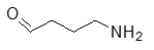 <strong>Which molecule contains an amide?</strong> A) B) C) D) E)