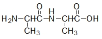 <strong>Which molecule contains an amide?</strong> A) B) C) D) E)