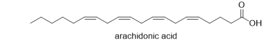 <strong>What type of biomolecule is shown below? </strong> A) a polyunsaturated fatty acid B) a saturated fatty acid C) a nucleic acid D) an amino acid E) a sugar