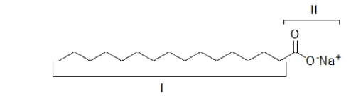 <strong>The portion of the molecule labeled I is </strong> A) hydrophobic.It dissolves grease. B) hydrophilic.It dissolves grease. C) hydrophobic.It dissolves in water. D) hydrophilic.It dissolves in water. E) both hydrophobic and hydrophilic.It dissolves in both water and grease.