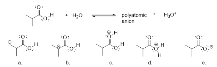<strong>What is the product when a carboxylic acid donates a proton ion (H<sup>+</sup>)to water? </strong> A) molecule a B) molecule b C) molecule c D) molecule d E) molecule e