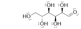 <strong>Glucose, the most common sugar, contains which of the following carbonyl-containing functional groups? </strong> A) carboxylic acid B) amide C) aldehyde D) ketone E) ester