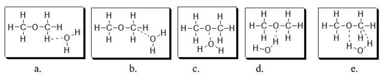 <strong>Which diagram BEST illustrates the interaction of dimethyl ether with water? Note that dashed lines indicate intermolecular forces of attraction. </strong> A) diagram a B) diagram b C) diagram c D) diagram d E) diagram e