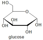 <strong>Which of the following molecules is the MOST water soluble?</strong> A) B) C) D) E)