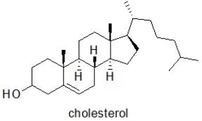<strong>Which of the following molecules is the MOST water soluble?</strong> A) B) C) D) E)