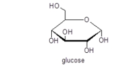 <strong>Glucose is an example of a(n) </strong> A) diol. B) triol. C) polyol. D) ether. E) phenol.