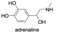 <strong>When administered as a treatment for anaphylaxis, adrenaline (structure shown below)is administered as a positively charged ion.What is the structure of this positively charged ion? </strong> A) B) C) D) E)