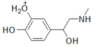 <strong>When administered as a treatment for anaphylaxis, adrenaline (structure shown below)is administered as a positively charged ion.What is the structure of this positively charged ion? </strong> A) B) C) D) E)