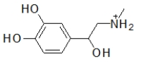 <strong>When administered as a treatment for anaphylaxis, adrenaline (structure shown below)is administered as a positively charged ion.What is the structure of this positively charged ion? </strong> A) B) C) D) E)