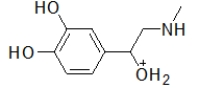 <strong>When administered as a treatment for anaphylaxis, adrenaline (structure shown below)is administered as a positively charged ion.What is the structure of this positively charged ion? </strong> A) B) C) D) E)