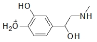 <strong>When administered as a treatment for anaphylaxis, adrenaline (structure shown below)is administered as a positively charged ion.What is the structure of this positively charged ion? </strong> A) B) C) D) E)