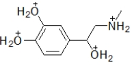 <strong>When administered as a treatment for anaphylaxis, adrenaline (structure shown below)is administered as a positively charged ion.What is the structure of this positively charged ion? </strong> A) B) C) D) E)
