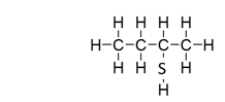 <strong>What is the IUPAC name for this compound? </strong> A) butanethiol B) 2-thiobutane C) 2-butanethiol D) 2-propanethiol E) 2-pentanethiol