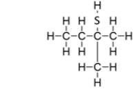 <strong>What is the IUPAC name for this compound? </strong> A) methylbutanethiol B) methyl2-thiobutane C) 2-methylbutanethiol D) 2-methyl-2-butanethiol E) methyl-2-pentanethiol