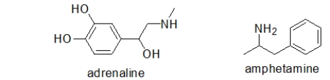 <strong>Adrenaline is responsible for the body's fight or flight response.Taking amphetamines results in a similar response.Which statement BEST explains this observation? </strong> A) Adrenaline and amphetamine are both metabolized in the same way because they have similar structures. B) Adrenaline and amphetamine both bind to the same receptor because they have similar structures. C) Amphetamine replaces adrenaline in important biosynthetic pathways. D) There are two different pathways for the fight or flight response.Adrenaline activates one, and amphetamine activates the other. E) No one understands why this occurs.