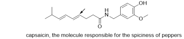 <strong>What is the molecular shape around the carbon indicated with an arrow? </strong> A) linear B) trigonal pyramidal C) tetrahedral D) bent E) trigonal planar