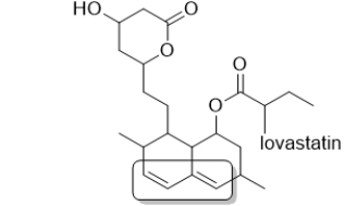 What type of alkene is boxed in lovastatin, a drug used to control cholesterol levels?