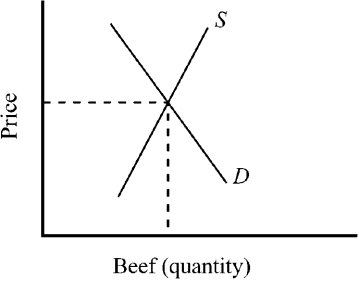 <strong>Figure 3-4 Figure 3-4 shows conditions in the market for beef. A reduction in the price of the grain used to feed cattle results in</strong> A)the supply curve for beef shifting to the left resulting in higher beef prices and a lower quantity sold. B)the supply curve for beef shifting to the right resulting in lower beef prices and a higher quantity sold. C)the demand curve for beef shifting to the left resulting in lower beef prices and a lower quantity sold. D)the demand curve for beef shifting to the right resulting in higher beef prices and a higher quantity sold.