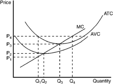 The graph below depicts the cost structure for a firm in a competitive market. Figure 9-13 -Refer to Figure 9-13. When price rises from P<sub>2</sub> to P<sub>3</sub>, the firm finds that