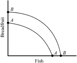 <strong>Figure 2-2 Which of the following would most likely cause the production possibilities curve for breadfruit and fish to shift outward from AA to BB in Figure 2-2?</strong> A) a decrease in the labor force of the country B) a sudden change in consumer preferences for more fish and less breadfruit C) a major technological advance D) a decrease in the capital stock