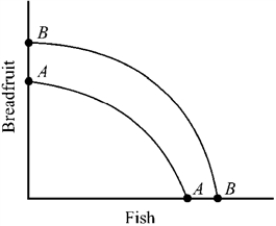<strong>Figure 2-6 Which of the following will most likely shift the production possibilities curve for breadfruit and fish outward from AA to BB in Figure 2-6?</strong> A) an improvement in the form of economic organization B) lower investment and a reduction in the country's capital stock C) an increase in the price of breadfruit D) a decrease in the average number of hours worked