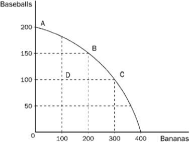 <strong>Figure 2-10 Refer to Figure 2-10. What is the opportunity cost of the movement from point A to point C?</strong> A) 50 baseballs B) 100 baseballs C) 100 bananas D) 300 bananas