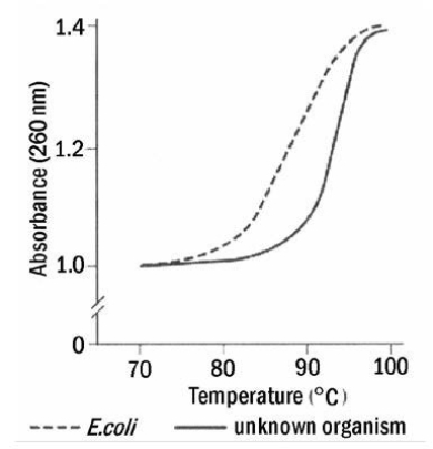 <strong>A recently isolated bacterial strain has been given to you for general characterization of the genome.You begin by isolating the DNA and subjecting it to thermal denaturation.You use Escherichia coli (E.coli)DNA as a reference. Based on the information in the graph,you can determine that the DNA of the new strain has a high</strong> A)G-C content with respect to E.coli. B)pyrimidine content with respect to E.coli. C)A-T content with respect to E.coli. D)purine content,with respect to E.coli. E)histone content with respect to E.coli.