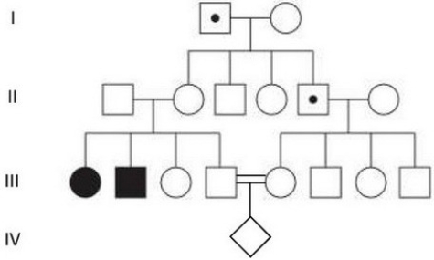 This pedigree shows the inheritance pattern of a disease caused by a paternally imprinted allele in a family.Genetic testing of individuals I-1 and II-5 indicates they are carriers of the disease allele.No one else in the family agreed to be tested.If first cousins III-4 and III-5 have a child together (IV-1)what is the chance the child will have the disease? (assume complete penetrance) Reference for pedigree: Modified from www.cell.com/trends/molecular-medicine/fulltext/S1471-4914(14)00138-5