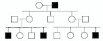 <strong>In the following pedigree, the indicated trait is most likely caused by which type of allele? </strong> A)autosomal recessive B)autosomal dominant C)X-linked recessive D)X-linked dominant E)Y-linked