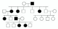 <strong>In the following pedigree, the indicated trait most likely is caused by which type of allele? </strong> A)autosomal recessive B)autosomal dominant C)X-linked recessive D)X-linked dominant E)Y-linked