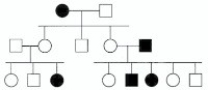 <strong>In the following pedigree, the indicated trait is most likely caused by which type of allele? </strong> A)autosomal recessive B)autosomal dominant C)X-linked recessive D)X-linked dominant E)Y-linked