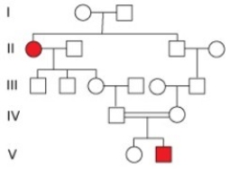 <strong>  What does the pattern of inheritance in this pedigree indicate about the disease allele?</strong> A)The disease allele is recessive. B)The disease allele is dominant. C)There is no indication that the disease allele is either dominant or recessive. D)The disease allele is not inherited but arises only by a new mutation in affected individuals. <div style=padding-top: 35px> 