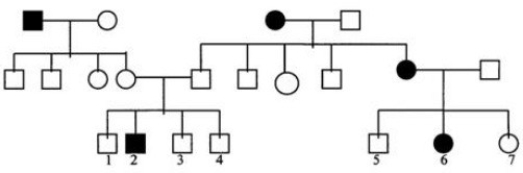 <strong>Below is a pedigree for a common human trait (not a disease)controlled by a single gene.Shaded symbols are for individuals exhibiting the trait.   Identify the mode of inheritance of the trait.</strong> A)Dominant B)Recessive C)Either dominant or recessive D)Cannot be determined <div style=padding-top: 35px> 