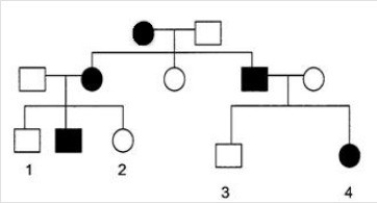 <strong>Below is a pedigree of a human genetic disease in which solid color indicates affected individuals.Assume that the disease is caused by a gene that can have the alleles A or a.    -What is/are the possible genotype(s)of person 3?</strong> A)AA B)Aa C)Either AA or Aa D)aa E)Cannot be determined <div style=padding-top: 35px> 