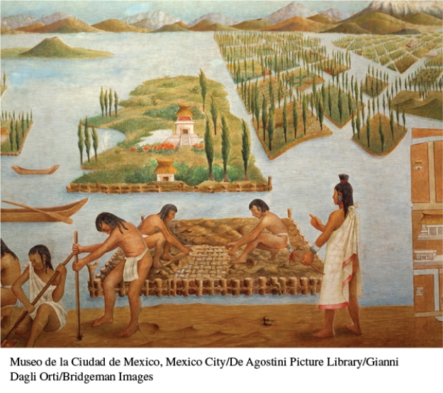 <strong>How do the chinampa farming techniques, pictured here, differ from those of Europeans? </strong> A) They used hand-held farming implements. B) They farmed in small, rectangular plots divided by canals. C) Crops were planted in a systematic fashion. D) Irrigation was an important part of the planting process.
